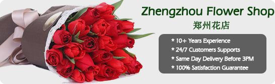 Zhengzhou online florist Send flowers to Zhengzhou